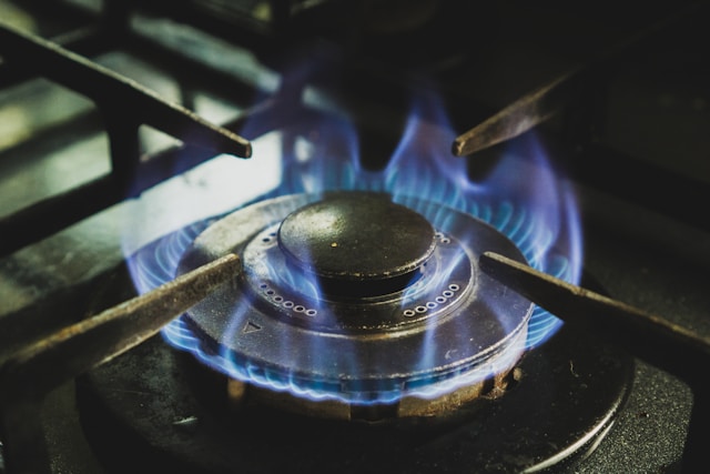 Perbedaan Penggunaan antara Harga Fryer gas dan Listrik